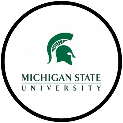 Michigan State University Button